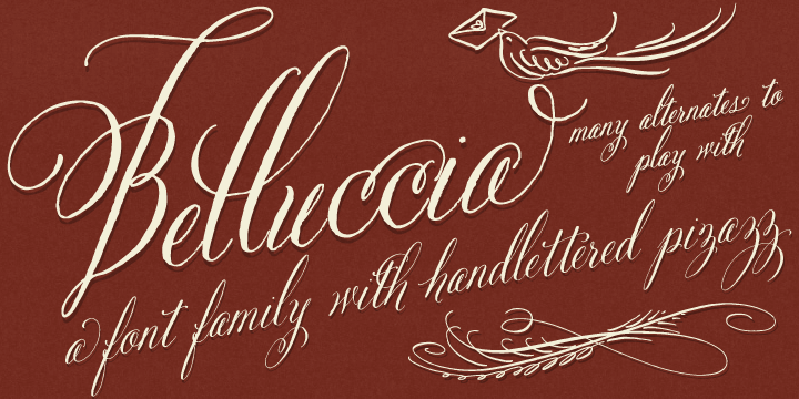  Belluccia to meet your need for a script font The new lettering series 